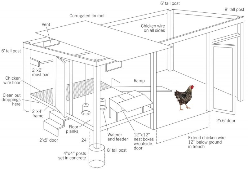 Курятник для дачи; инструкции по постройке и фото описание как изготовить на даче дом для кур