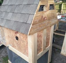 Курятник для дачи; инструкции по постройке и фото описание как изготовить на даче дом для кур