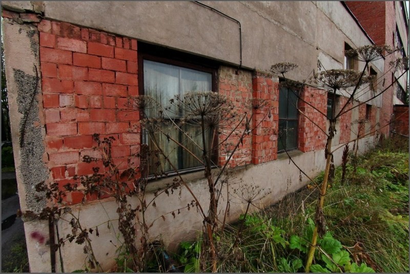 Трещина в стене кирпичного дома причина пятиэтажного 1961 года.
